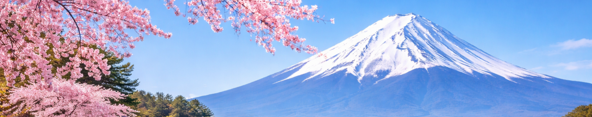 富士山一日游｜东京出发经典路线・网红打卡＋忍野八海深度体验